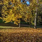 Park بادنويلر