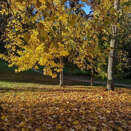 Park באדנוויילר