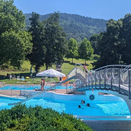 Park דירה באדנוויילר