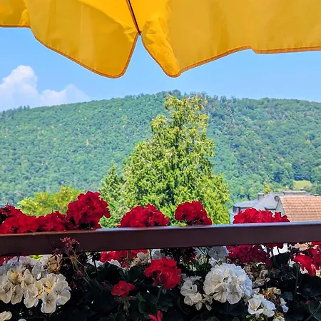 Park * באדנוויילר