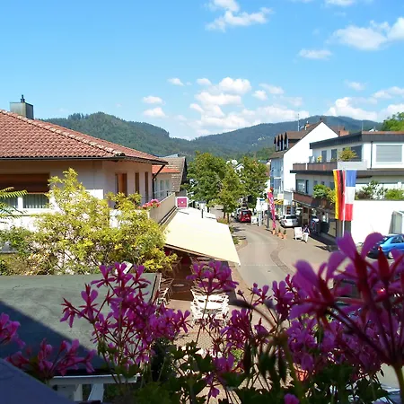 Park * באדנוויילר