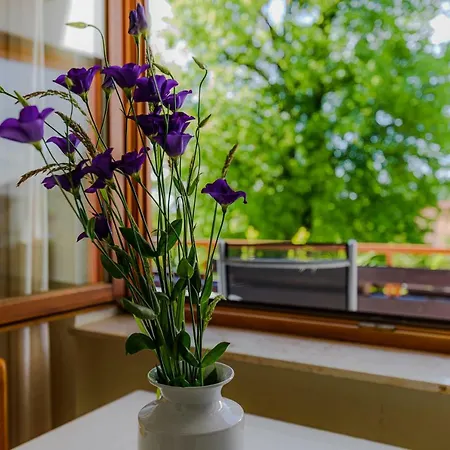 דירה Park באדנוויילר