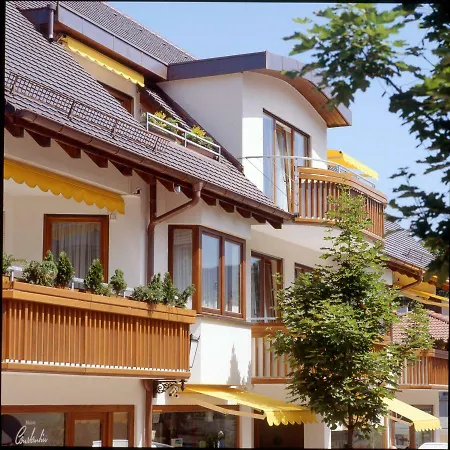 Park דירה באדנוויילר