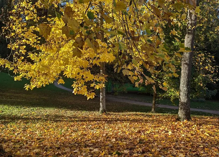 Park Баденвайлер