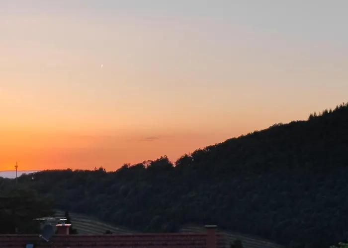 Апартаменты Park *