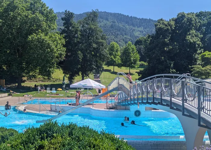 Park Апартаменты Баденвайлер