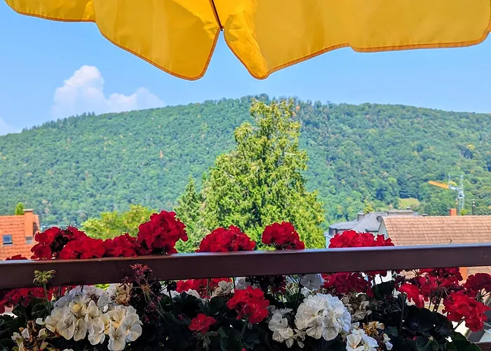 Park * Баденвайлер