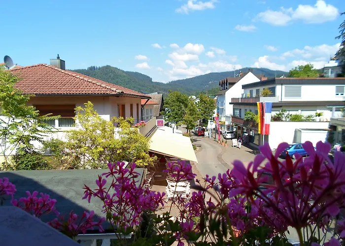 Park * Баденвайлер