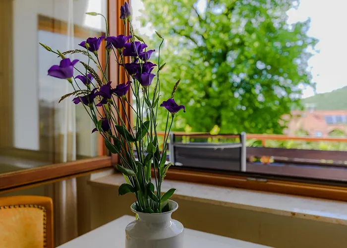 Апартаменты Park Баденвайлер